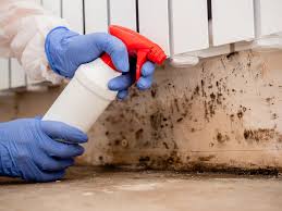 Trusted Mansfield, PA Mold Removal Experts